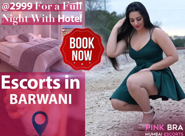 Escorts In Barwani with Pinkbra