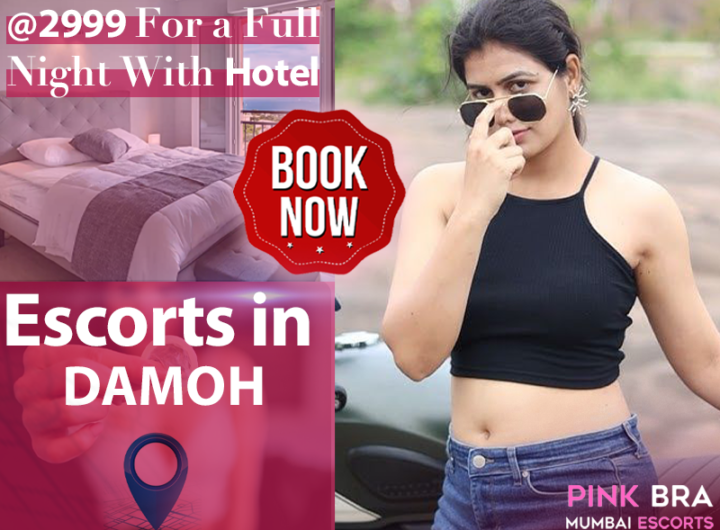 Escorts In Damoh Pinkbra