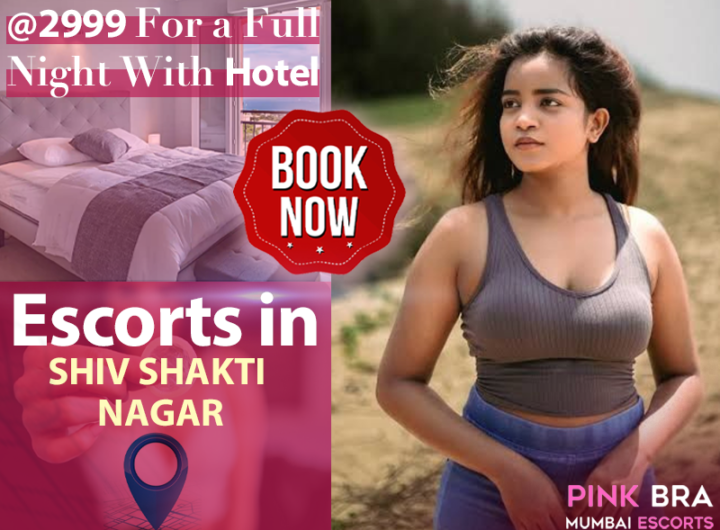 Escorts girl in Shiv Shakti Nagar