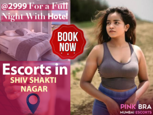 Escorts in Shiv Shakti Nagar