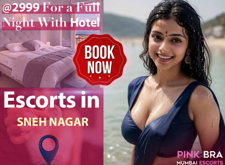 Esorts in Escorts In Sneh Nagar