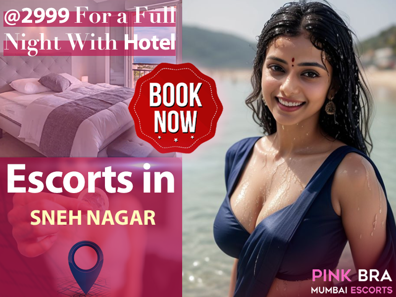 Esorts in Escorts In Sneh Nagar