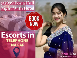 Escorts in Telephone Nagar